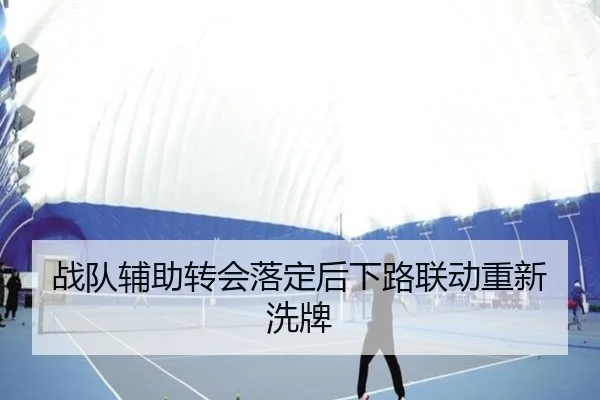 战队辅助转会落定后下路联动重新洗牌